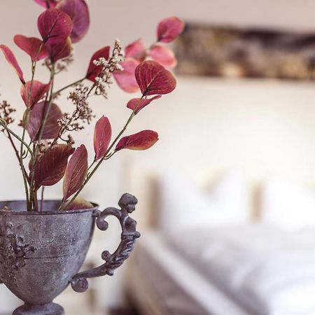 Hotel Roma Kehl Екстер'єр фото